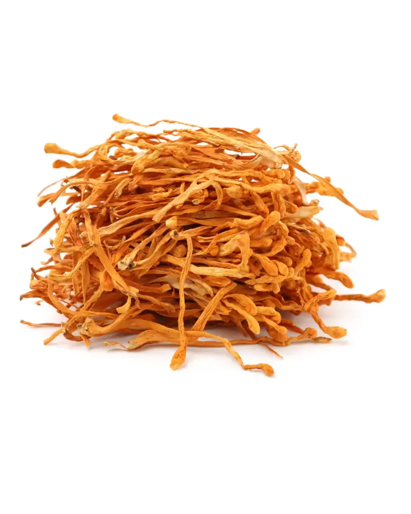 Cordyceps - Deshidratados enteros 1 kg 