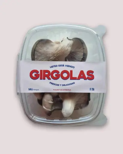 Gírgolas frescas por 250 gr.