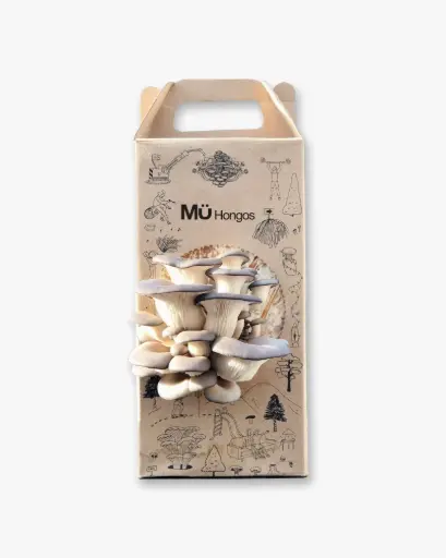 Kit de Autocultivo de Gírgolas